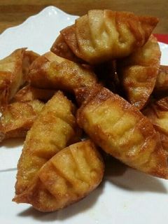 揚げ餃子(ツナ・カレー)-レシピのメイン写真