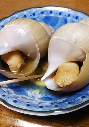 ばい貝の煮付け-レシピのメイン写真