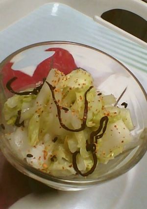 白菜の浅漬け-レシピのメイン写真