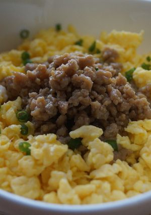 味付け簡単★そぼろ丼-レシピのメイン写真