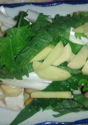 蒸しかじきとたっぷりの薬味-レシピのメイン写真