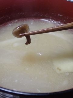 ナラタケと大根の味噌汁-レシピのメイン写真