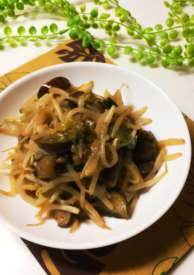 もやしとなすの甜麺醤炒め-レシピのメイン写真