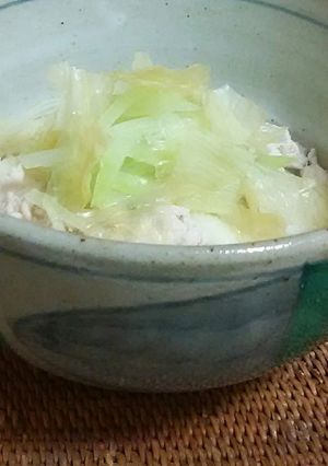 あっさり味の隼人ウリと鶏そぼろのにゅう麵-レシピのメイン写真