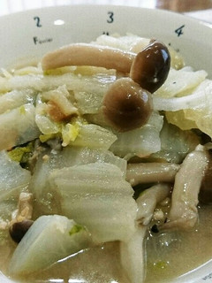 時短!無水で白菜の味噌煮-レシピのメイン写真