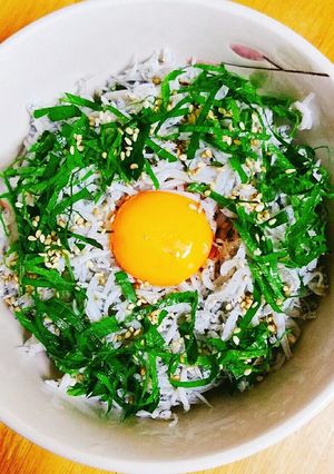 栄養◎しらす丼♪-レシピのメイン写真