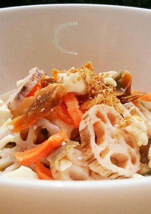 犬ご飯　豆腐と鮭の汁かけごはん-レシピのメイン写真