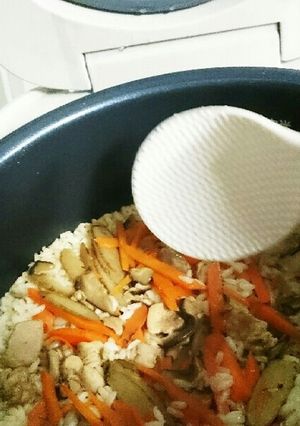 マンナンごはんでも美味しい★鶏ごぼう飯-レシピのメイン写真