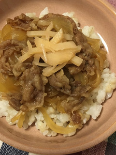 お手軽レンチン牛丼-レシピのメイン写真