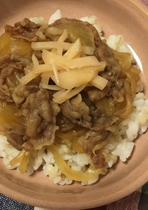 お手軽レンチン牛丼-レシピのメイン写真
