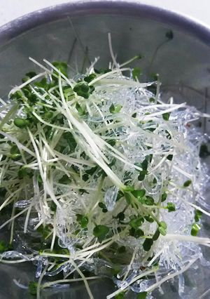 スプラウトとプチプチ海草麺のサラダ-レシピのメイン写真