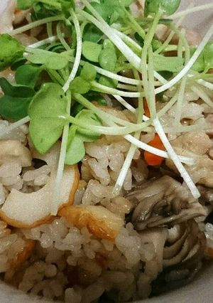 鶏肉とたっぷりキノコの秋炊き込みご飯☆-レシピのメイン写真