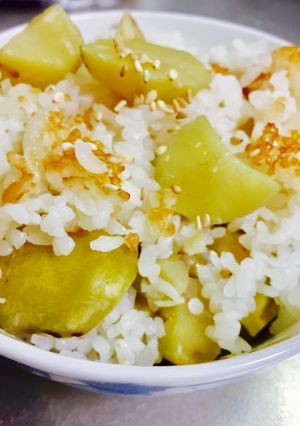 秋だ!栗ご飯☆電気ポットにつけて剥いたよ-レシピのメイン写真