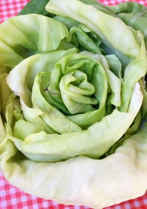 秋は干し野菜を作ろう！！-レシピのメイン写真