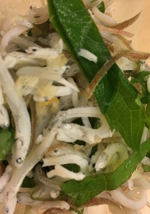 香味野菜たっぷり大根おろしレシピ-レシピのメイン写真