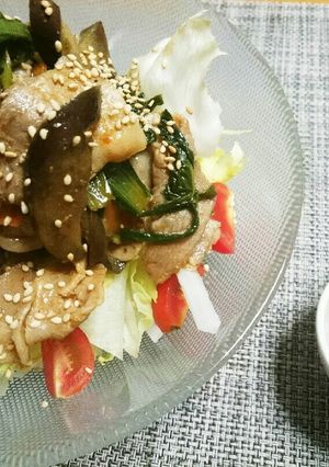 豚バラと茄子の甜麺醤炒めサラダ-レシピのメイン写真