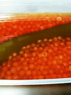 いくらの醤油漬け-レシピのメイン写真
