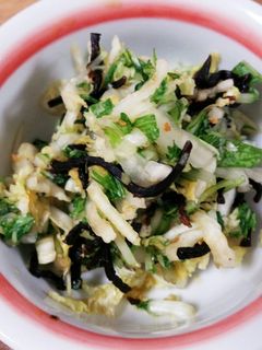 白菜と水菜の塩昆布和え-レシピのメイン写真