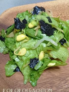 レタスともやしのサラダ-レシピのメイン写真