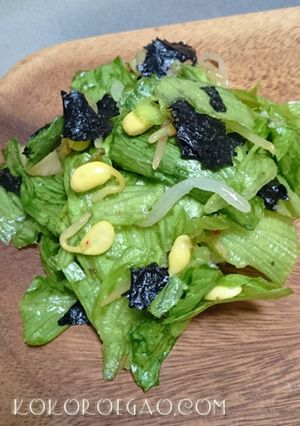 レタスともやしのサラダ-レシピのメイン写真