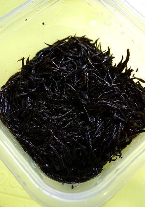 簡単！基本☆乾燥ひじきの戻し方-レシピのメイン写真