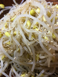 居酒屋直伝つまみシリーズ☆豆もやしナムル-レシピのメイン写真