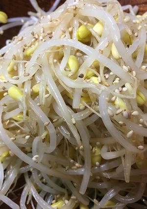 居酒屋直伝つまみシリーズ☆豆もやしナムル-レシピのメイン写真