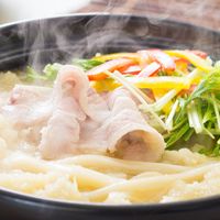 基本からアレンジまで！思わずつくりたくなる「りんご うどん」の