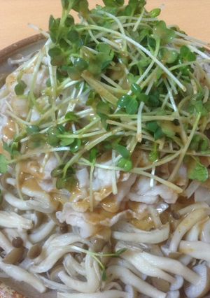 野菜とキノコたっぷり豚しゃぶ-レシピのメイン写真