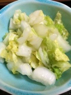 100円レシピ☆白菜の浅漬け-レシピのメイン写真