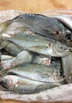 豆アジの南蛮漬け-レシピのメイン写真