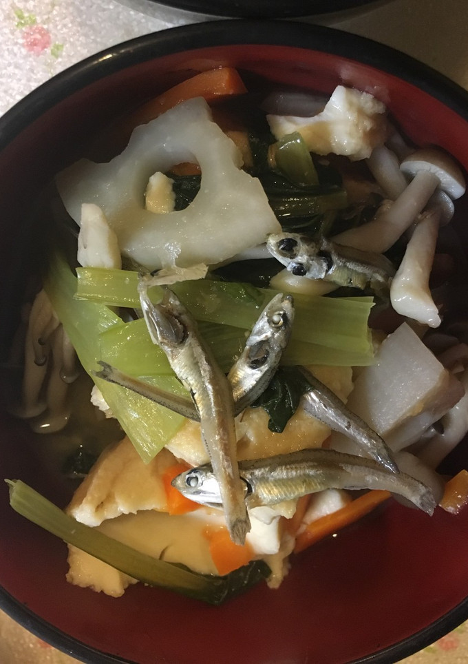 野菜たっぷり厚揚げと小魚のお味噌汁風煮物-レシピのメイン写真