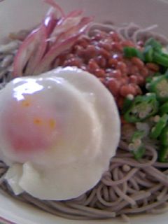 サッパリ食べたい♪おろし納豆そば-レシピのメイン写真