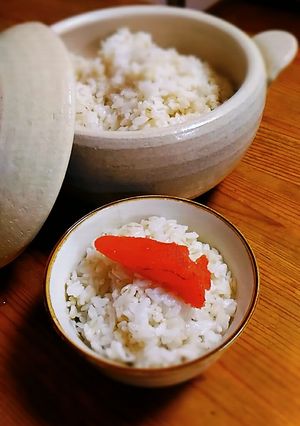 圧力鍋deご飯-レシピのメイン写真
