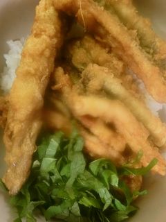 穴子の天ぷら 丼ぶり-レシピのメイン写真