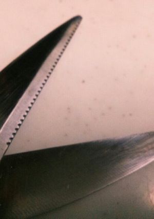 ★裏技★キッチン鋏みを切りやすくする方法-レシピのメイン写真