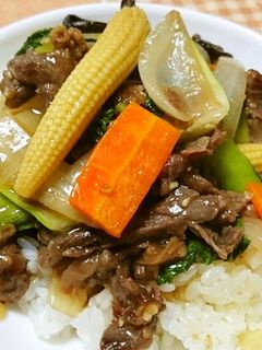 コストコのプルコギビーフで中華牛丼-レシピのメイン写真
