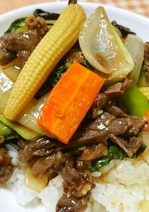 コストコのプルコギビーフで中華牛丼-レシピのメイン写真