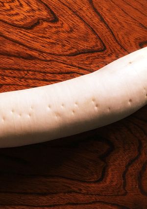 大根の部位に適した食べ方♬*゜-レシピのメイン写真