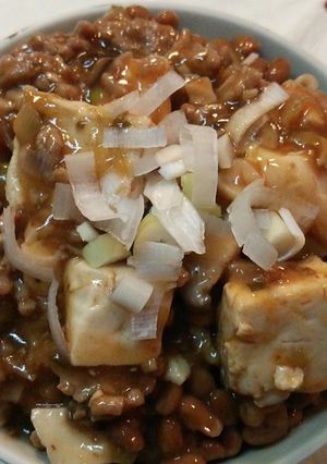 ご飯が進む☆納豆麻婆豆腐丼-レシピのメイン写真