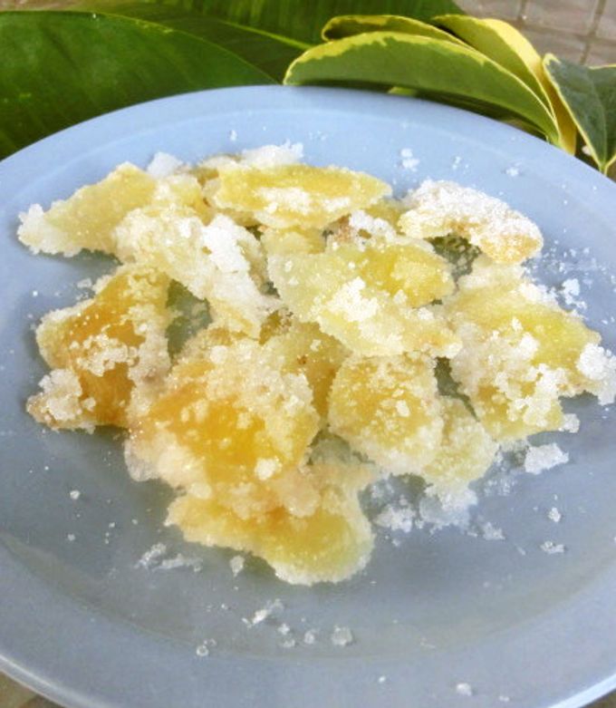 rose JHBS2024年1月レシピから10月までのレシピ rose様専用 JHBS2024