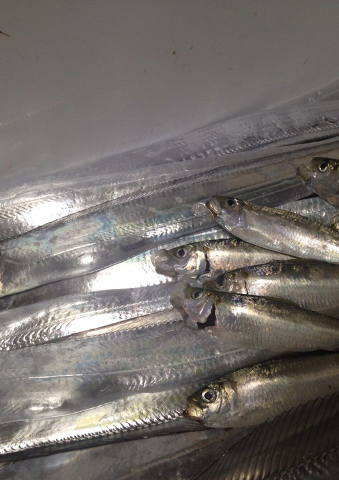 捨てないで！太刀魚のアラで蒲焼タレ-レシピのメイン写真