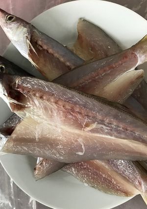 カマスの一夜干し-レシピのメイン写真