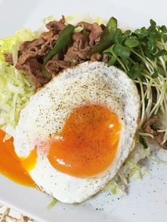 ガッツリなんだけどサッパリ丼-レシピのメイン写真