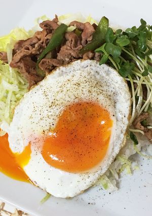 ガッツリなんだけどサッパリ丼-レシピのメイン写真