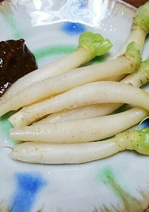 ミニミニ大根の味噌ディップ-レシピのメイン写真