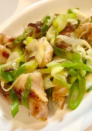 鶏肉と長ねぎの塩麹焼き-レシピのメイン写真