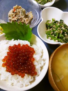 我が家の黄金比☆いくら醤油漬け-レシピのメイン写真