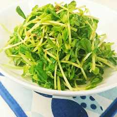 A picture of 簡単！豆苗のかつお節あえ☆.