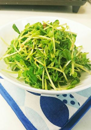簡単!豆苗のかつお節あえ☆-レシピのメイン写真